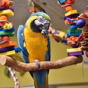 Meet your Posher, Denise